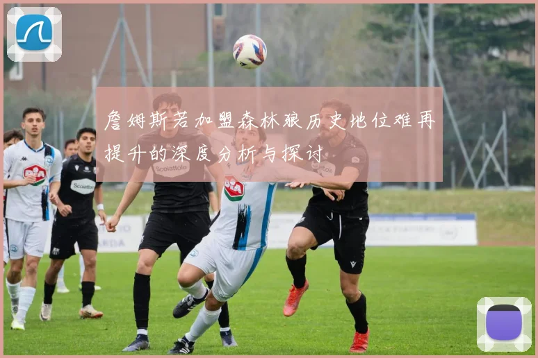 詹姆斯若加盟森林狼历史地位难再提升的深度分析与探讨