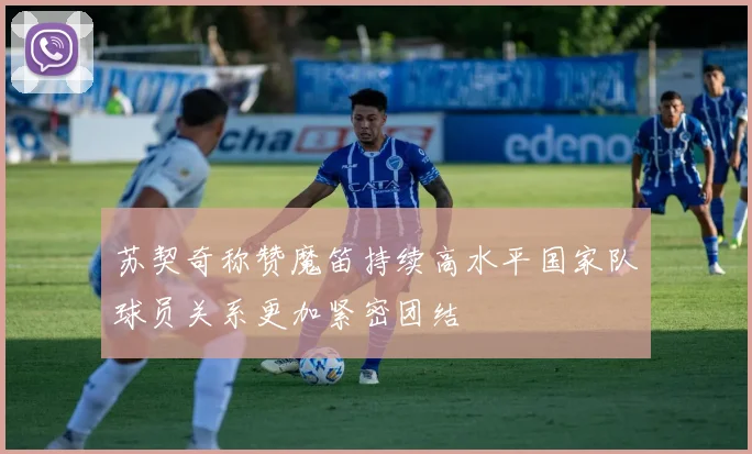 苏契奇称赞魔笛持续高水平国家队球员关系更加紧密团结
