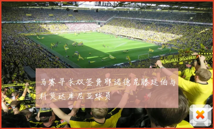 马赛寻求双签费耶诺德昆滕廷伯与科莫达库尼亚球员