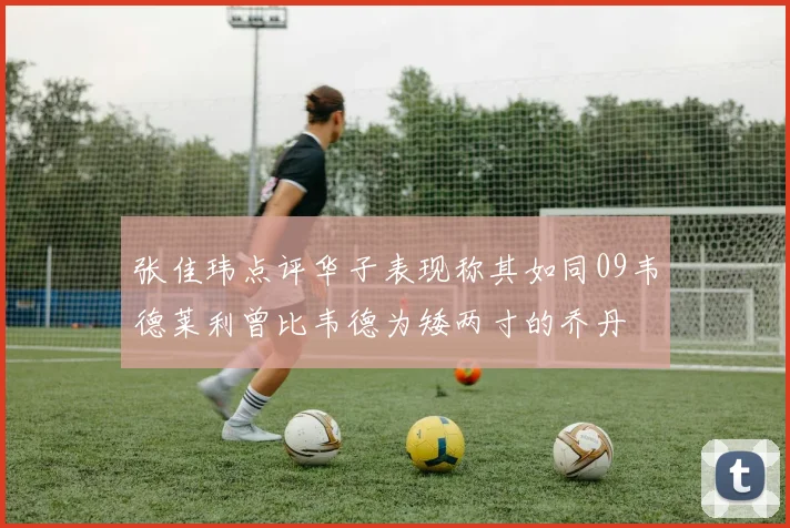 张佳玮点评华子表现称其如同09韦德莱利曾比韦德为矮两寸的乔丹