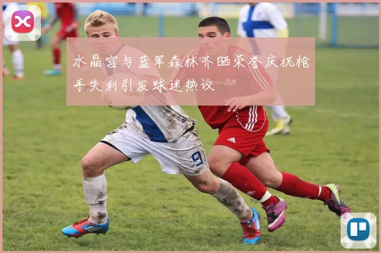 水晶宫与蓝军森林齐晒荣誉庆祝枪手失利引发球迷热议